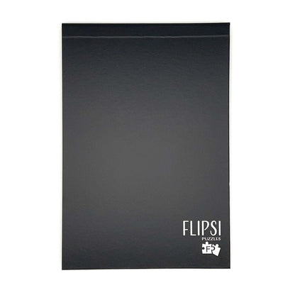 FLIPSI PLUS: All Three Haunted Places &amp; Flipsi Board - Flipsi Puzzles