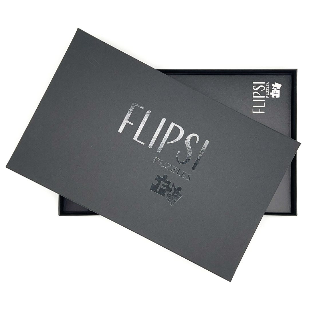 FLIPSI PLUS: All Three Haunted Places & Flipsi Board - Flipsi Puzzles