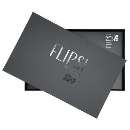 FLIPSI PLUS: All Three Haunted Places &amp; Flipsi Board - Flipsi Puzzles