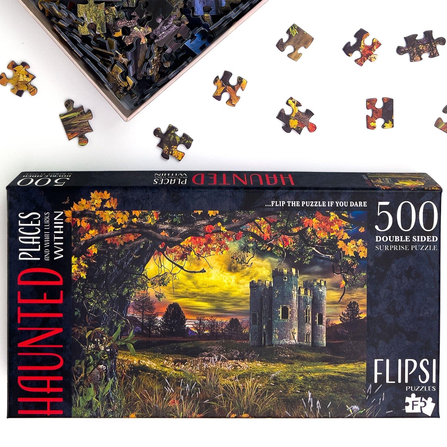 FLIPSI PUZZLE: Haunted Castle Puzzle Box and Puzzle Pieces
